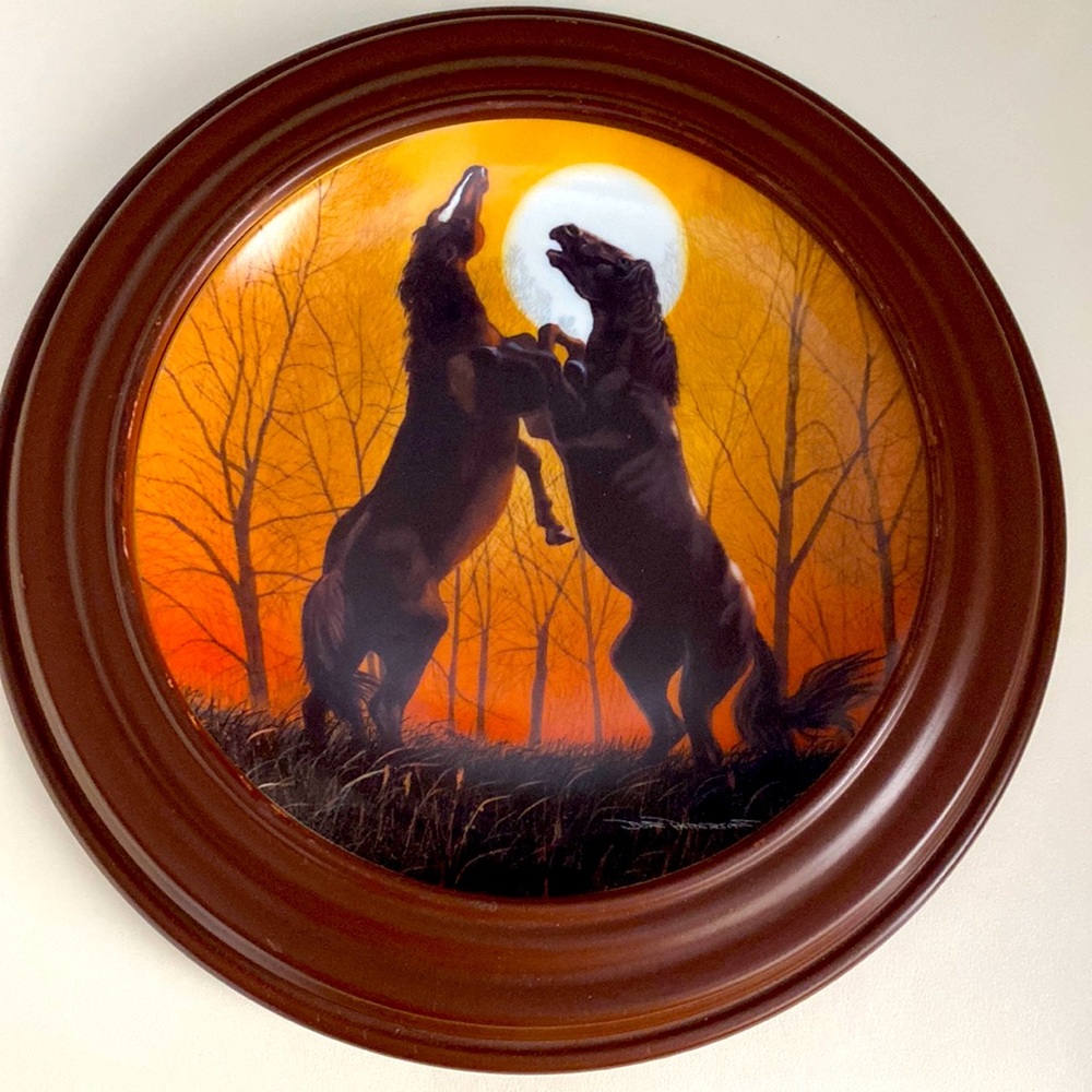 Stallions at Sunrise byThe Danbury Mint 1991.  Donald Patterson PlateCollection